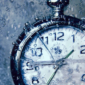 Meet your Posher, Fatima